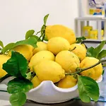 La Casa Di Plinio Bed & Breakfast 3*