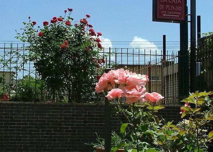 Bed & Breakfast La Casa Di Plinio 4*