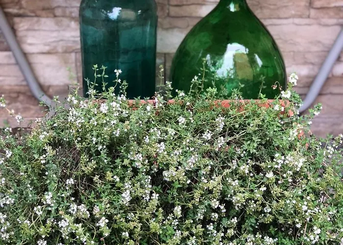 La Casa Di Plinio Oda ve Kahvaltı