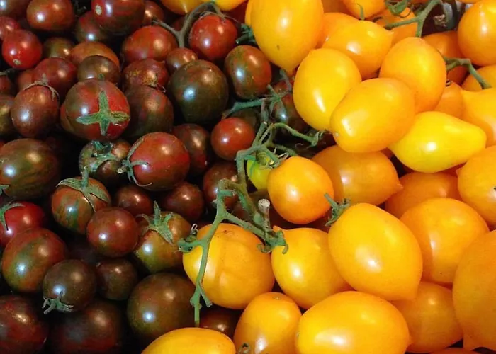 La Casa Di Plinio 4*